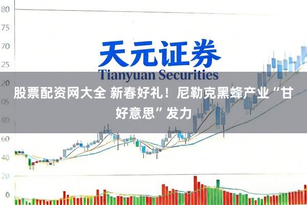 股票配资网大全 新春好礼！尼勒克黑蜂产业“甘好意思”发力