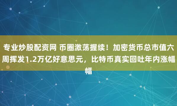专业炒股配资网 币圈激荡握续！加密货币总市值六周挥发1.2万亿好意思元，比特币真实回吐年内涨幅