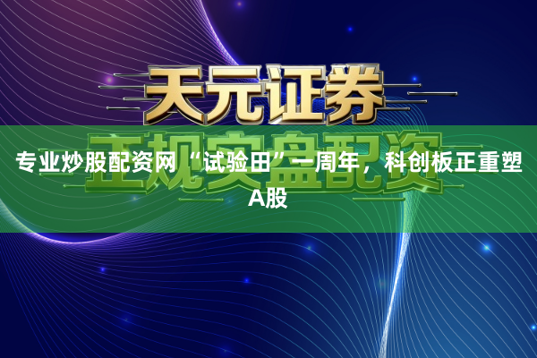 专业炒股配资网 “试验田”一周年，科创板正重塑A股