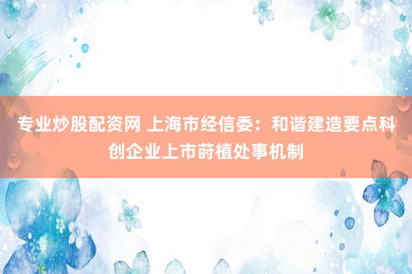 专业炒股配资网 上海市经信委：和谐建造要点科创企业上市莳植处事机制