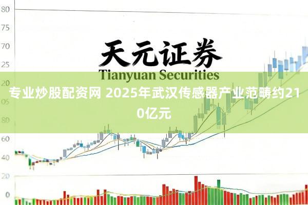 专业炒股配资网 2025年武汉传感器产业范畴约210亿元