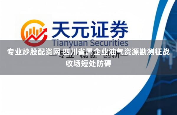专业炒股配资网 四川省属企业油气资源勘测征战收场短处防碍