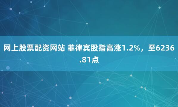 网上股票配资网站 菲律宾股指高涨1.2%，至6236.81点