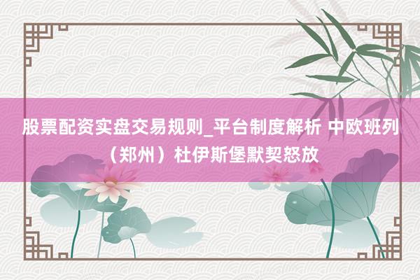 股票配资实盘交易规则_平台制度解析 中欧班列（郑州）杜伊斯堡默契怒放