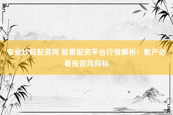 专业炒股配资网 股票配资平台行情解析：散户必看投资风向标